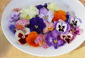 These florists in singapore have got you covered. Edible Flowers Pansy 50 Count Buy Online In Macedonia At Macedonia Desertcart Com Productid 45098439