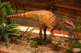 Check spelling or type a new query. Dinosaur Journey Paleontological Museum In Western Colorado Mwc