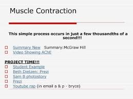 But does it really work? Exercise And Energy Contracting And Relaxing Skeletal Muscle Ppt Download