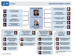 Graphic Cdc Organizational Chart Organizational Chart
