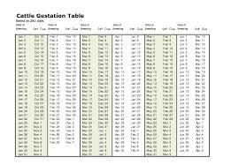Dexter Cattle Calving Chart