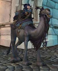I got incredibly lucky and got the psijic order camel from a free crown crate. Reins Of The Grey Riding Camel Wowpedia Your Wiki Guide To The World Of Warcraft