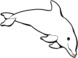 Dolphin 1 Coloring Page Gif 1500 1114 Dolphin Coloring Pages Animal Coloring Pages Coloring Pages