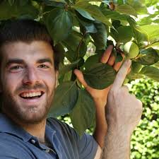 Perché CADONO tutti i CACHI acerbi?🍊🌳 Fino ad un 20-30% dei frutti è una  cosa normale, è semplicemente la pianta che sta selezionando i frutti da  portare a maturazione. Nel caso la