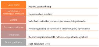 Gracias por el apoyo y tiempo que un incroyable centre, ils m ont redonnes la vie avec une qualité de soins et un humanisme et. Catalysts Free Full Text Advances In Recombinant Lipases Production Engineering Immobilization And Application In The Pharmaceutical Industry Html