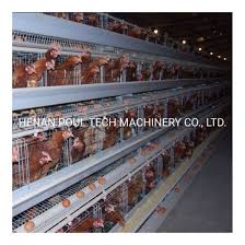 Design your lounge creatively, using these fifty modern living rooms as examples. China Modern Poultry Farm Equipment A Type Automatic Chicken Layer Battery Cages For Sales China Hen Cage Layer Chicken Cage