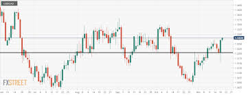 usd cad the bull is getting ready to bellow