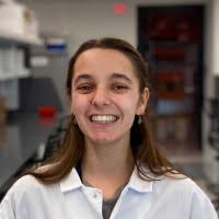 3300+ "Bordas" profiles