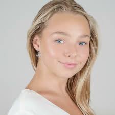 Stone Armory Nebraska Block N State Crystal Drop Earrings Stainless Steel  University of Nebraska Jewelry Perfect UNL Cornhuskers Gift