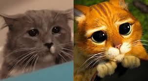 Lyrics to el muchacho de los ojos tristes by jeanette from the top ten latino, vol. Gato Y Su Increible Parecido Con El Gato Con Botas Se Vuelve Viral En Redes Video