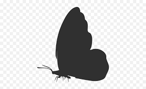 Free Free 280 Svg Side View Butterfly Silhouette SVG PNG EPS DXF File
