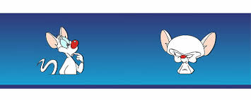 Animation) о двух лабораторных мышах, шедший на экранах с сентября 1995 по ноябрь 1998 г. Pinky Pinky And The Brain 1080p 2k 4k 5k Hd Wallpapers Free Download Wallpaper Flare