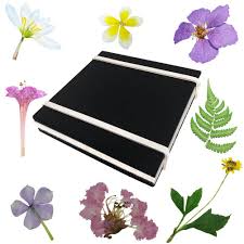 The consistency that results is more like conventional kitty litter than any of the. Rtree Microwave Flower Press Leaf Press Nature Press Flower Pressing Kit Flower Press Kit Preservation Frame Arrangements Craft Quickly Drying Press Flowers Leaves Plant Foliage Specime Walmart Com Walmart Com