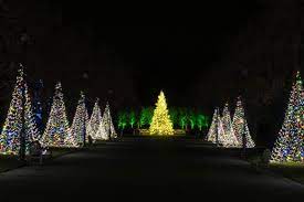 We did not find results for: Where To See Christmas Lights In And Around Williamson County Williamson Source