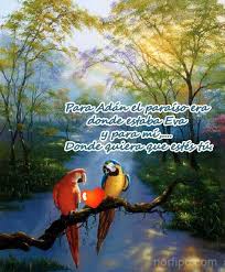 Pin En Frases De Amor