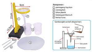 If you want to learn turas in english, you will find the translation here, along with other translations from irish to english. Set Eksperimen Penapisan Sains Kod Pembekal Abm Sains Facebook