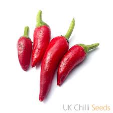 While the guaje pods are considered inedible, the seeds are tender when green and fresh and become firmer and. Mexican Chilli Seeds