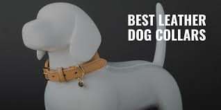 Shop the latest leather bomber jackets for men in a variety of styles and colours. 7 Best Leather Dog Collars Quality Skin Durability Reviews Faqs