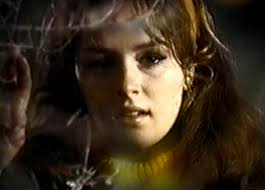 Made for TV Mayhem: TV Spot Tuesday: Then Came Bronson (1969)