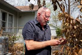 Check spelling or type a new query. What To Plant In Your Garden After Severe Texas Winter Freeze