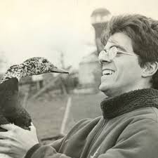 What marking methods work for aquatic insects, e.g. Corixidae (Hemiptera)? 