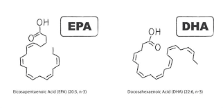 Cardiometabolic Differences: EPA vs. DHA