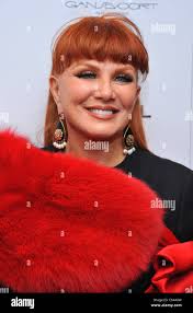 Red georgette hi-res stock photography and images