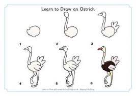 learn to draw birds kindergarten drawing drawings coloriages de larry mario