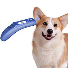 Top 5 Best Dog Thermometer Choices To Quickly Take Dogs Temperature Pet Thermometer Dog Temperature Dog Care