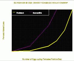 This thesis investigated host plant resistance in field pea and mapped ethiopian farmers‟ knowledge and management practices to control pw. Plant Resistance To Insects A Fundamental Component Of Ipm Radcliffe S Ipm World Textbook