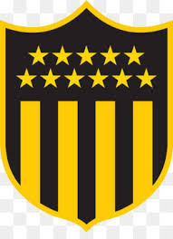 Die conmebol libertadores auch copa libertadores (zu deutsch befreierpokal) genannt, ist der wichtigste südamerikanische vereinsfußballwettbewerb, . Copa Libertadores Png And Copa Libertadores Transparent Clipart Free Download Cleanpng Kisspng