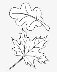 Oxeye daisy coloring page from daisy category. Leaf Outline Autumn Red Transparent Png Easy Leaf Coloring Pages Png Download Transparent Png Image Pngitem