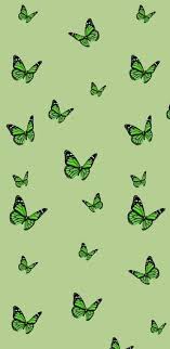 Tons of awesome cow aesthetic wallpapers to download for free. Green Buttlerflies Wallpaper Iphone Wallpaper Green Butterfly Wallpaper Backgrounds Butterfly Wallpaper