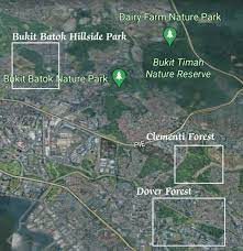 Ura says it needed the land for development. Sdp S Youth Wing Expresses Concern Over Dover Forest Redevelopment Plan Calls Gov T To Pay Attention To Nature Conservation The Online Citizen Asia