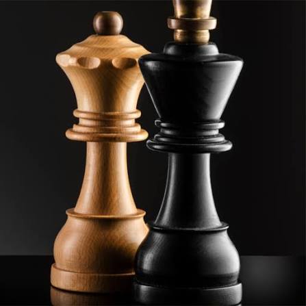 Satranç Mod Apk MOD APK ikonu
