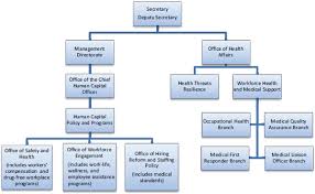 Free Dhs Organizational Chart Templates Download Free