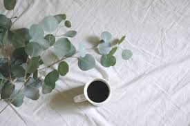 Kopi hitam bubuk paling enak yang mantap dibuat minuman panas dan hangat dicampur gula sedikit sangat cocok untuk pria sejati. Rekomendasi Merk Kopi Hitam Yang Enak Blibli Friends