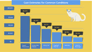 The cost of a cat runs a range depending on cat breed, age and even your lifestyle, but the basics come in around a minimum of $405 for the first year. How Much Does It Cost To Own A Cat We Re All About Cats