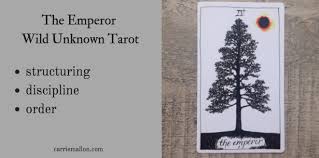 Counterpart to the empress, the emperor is signifies a powerful influence, generally male in nature. The Emperor Wild Unknown Tarot Card Meanings Carrie Mallon