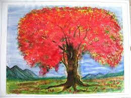 el malinche arbol nicaraguense beautiful homes painting beautiful