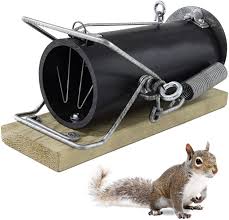 Their bodies are tan/brown with dark or light stripes running so are they strong enough to get rid of the chipmunks already in your yard? Amazon Com Red Squirrel Traps Ouell Traps Ground Squirrel Traps Chipmunk Trap Chipmunk Traps Outdoor Human Trap Garden Outdoor