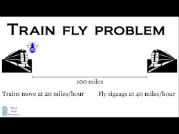 The Train Fly Problem A Classic Math Puzzle Maths Puzzles Train Problem