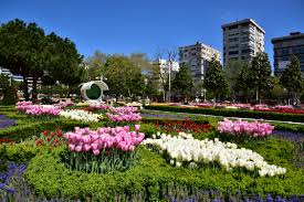 Yazı başlıkları göztepe parkı giriş ücreti ne kadar? Goztepe Parki Lale Cekimleri 8 Sosyal Tesisler