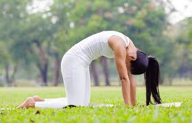 12 Basic Asanas That Will Help You Ease Into The Yoga Regimen In 2020 Basic Yoga Poses Yoga Asanas Basic Yoga