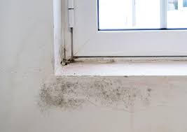 Check spelling or type a new query. Do Roller Blinds Cause Condensation Dotcomblinds