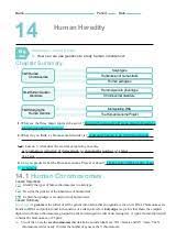 Autosomes are chromosomes that contain genes for characteristics that are. Chapter14worksheets