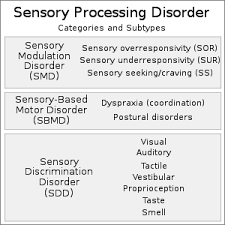 Some forms of white matter disease, such as dysmyelinating diseases, can begin during childhood. Sensory Processing Disorder Wikipedia