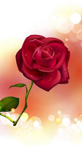 Iphone Love Google Search Rose Flower Wallpaper Rose Flower Hd Beautiful Flowers Wallpapers