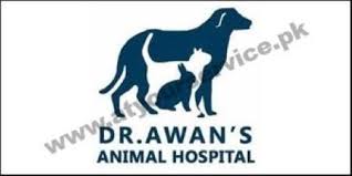 Maybe you would like to learn more about one of these? Dr Awan S Animal Hospital Pagh Chowk Hussain Abad Expressway Islamabad Pakistan S Largest Business Directory