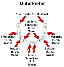 Das Erste Jahr Ihres Kindes